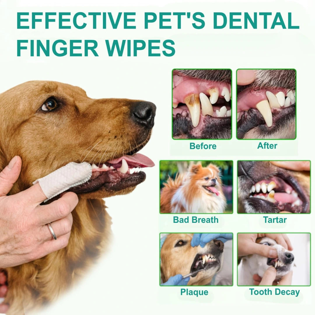 Pet Dental Finger Wipes